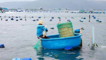 越南渔民焦虑了:中国人回微信我才能睡个好觉