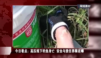 男子在高压线下钓鱼身亡,家属索赔百万元