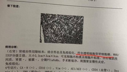爱康国宾多地分支机构吊注,仅剩武汉分公司存续