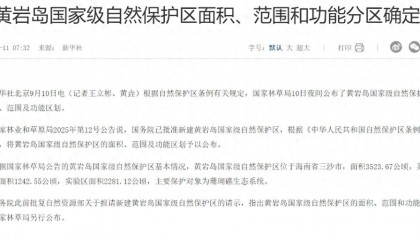国务院批准,仁爱礁问题有了解决范例,菲律宾气急败坏,提出了“外交抗议”