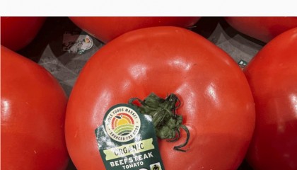 美国将对这国番茄征收超17%的关税!美“关税通牒”引众怒,欧盟民众:不能接受美国霸凌......