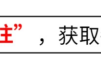 前华人首富被判刑,币安创始人或一边坐牢一边发财