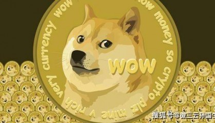 千亿市值的老板首选支付,狗狗币崛起:通用货币的未来探索