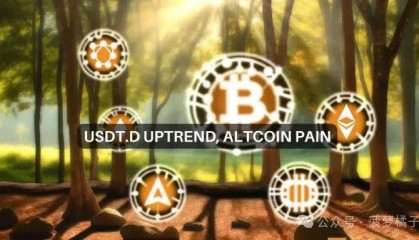 山寨币季节来临了吗?比特币减半的要点