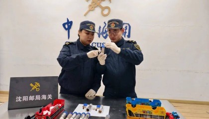 比普通蚂蚁大10倍!沈阳截获40只外来巨人恐蚁,藏匿方式相当精致