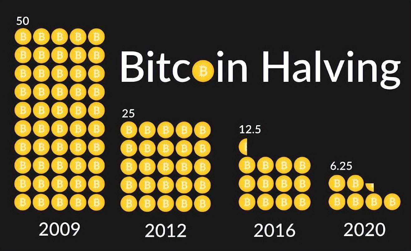 见证历史！比特币减半！收益下滑？矿商们忙屯币