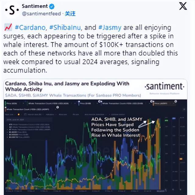 山寨币火热上涨！鲸鱼们纷纷涌入，预计还会涨！6月即将暴涨的百倍币！