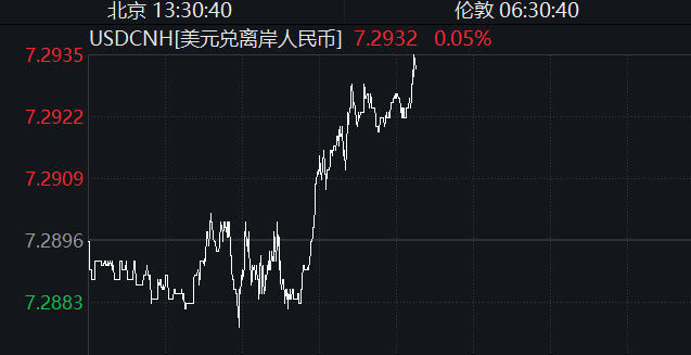 人民币汇率跌至年内低点，原因曝光