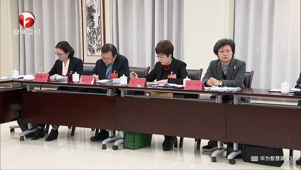 卸任黄山市委书记后，凌云参加了安徽省委十一届九次全会