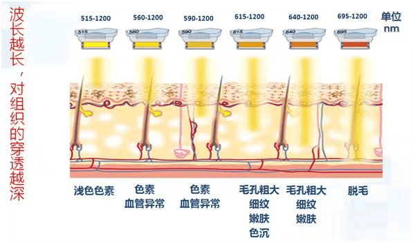 您的变美攻略已送达！