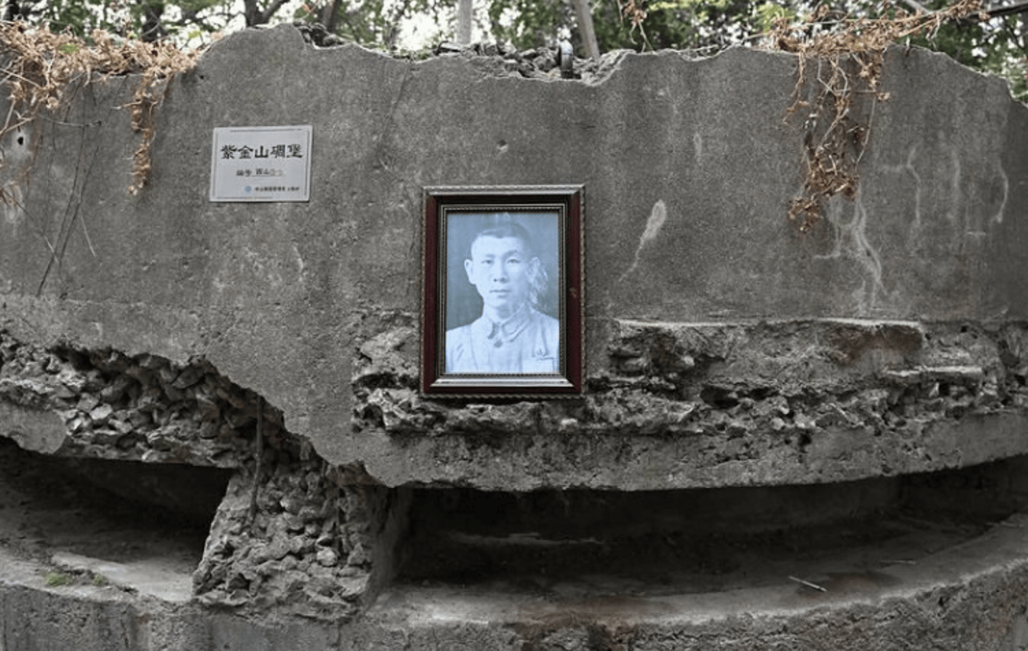 杭州小伙称爬山犯低血糖被抗战烈士墓边的奶糖救命：应该是烈士看我躺在这，救了我一下