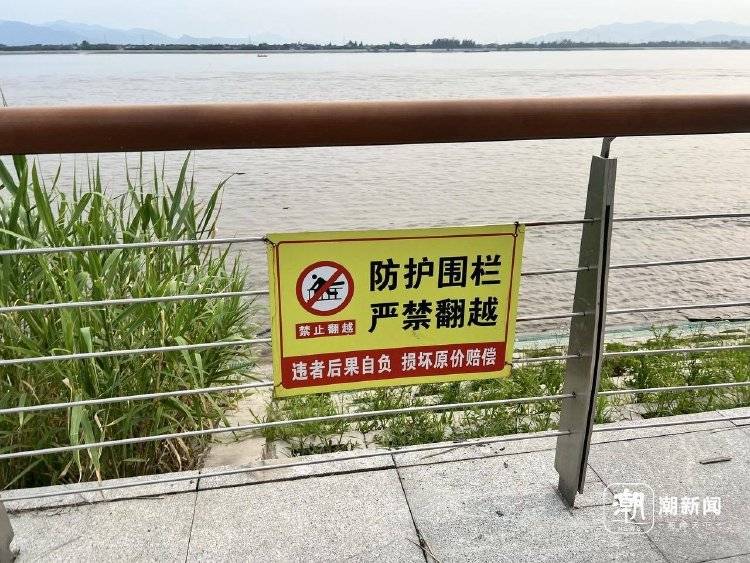 杭州4人下江堤被潮水卷走，路人狂喊“抓树枝”，网友拍下惊险一幕
