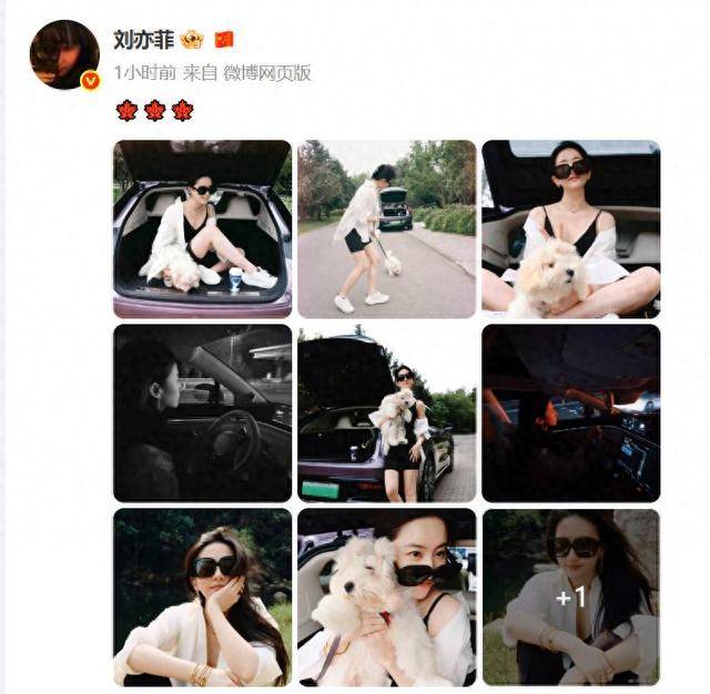 刘亦菲晒与新狗狗合照,穿白衬衫戴墨镜清爽出游