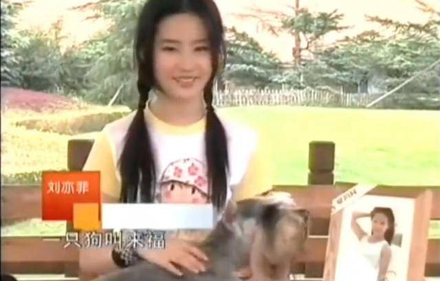 刘亦菲晒与新狗狗合照,穿白衬衫戴墨镜清爽出游