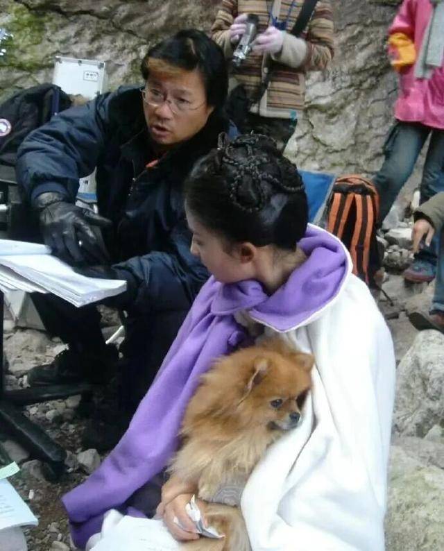 刘亦菲晒与新狗狗合照,穿白衬衫戴墨镜清爽出游