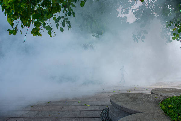 连续灭蚊70多天 有基层员工在网上诉苦