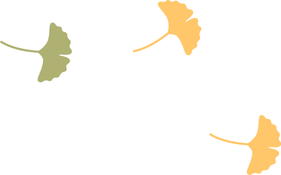 【活动回顾】罗山星悦读“金秋诵章,经典有约”活动圆满落幕