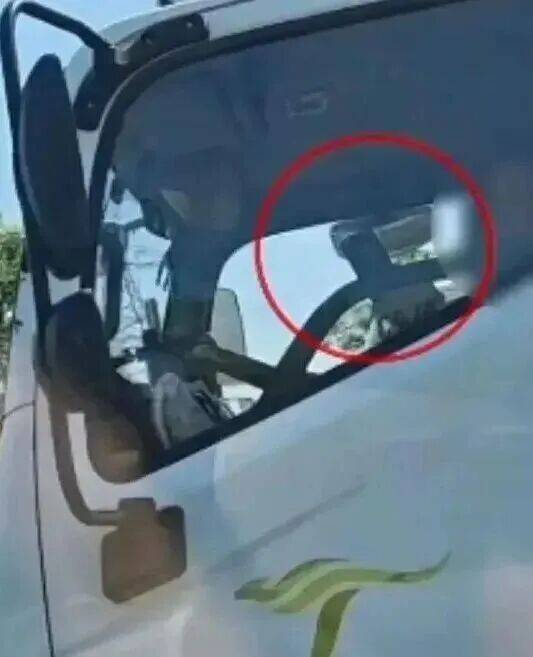 开车看手机、吸烟……您的“随手拍”举报,已查处!